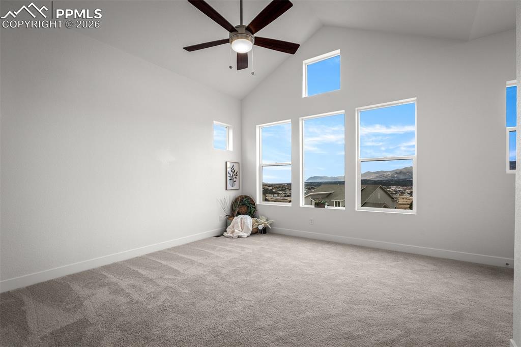 17122 Alsike Clover Court Monument CO 80132
