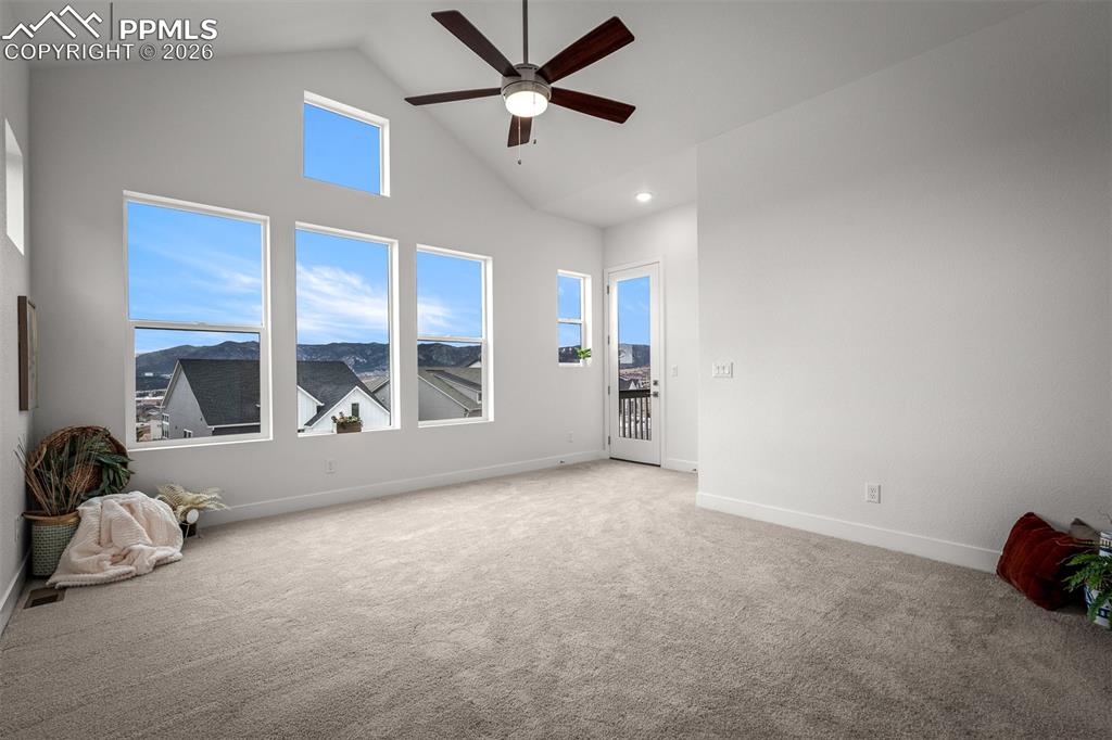 17122 Alsike Clover Court Monument CO 80132