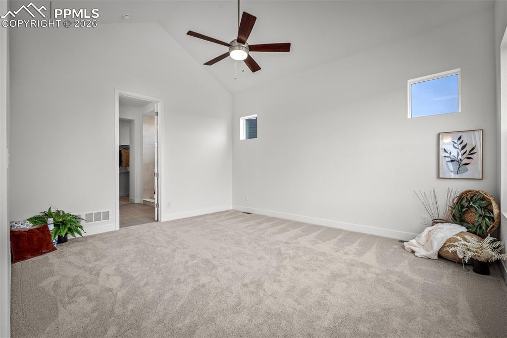 17122 Alsike Clover Court Monument CO 80132