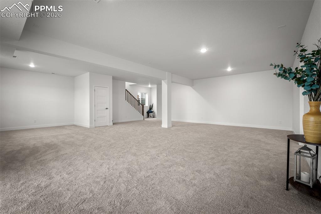17122 Alsike Clover Court Monument CO 80132