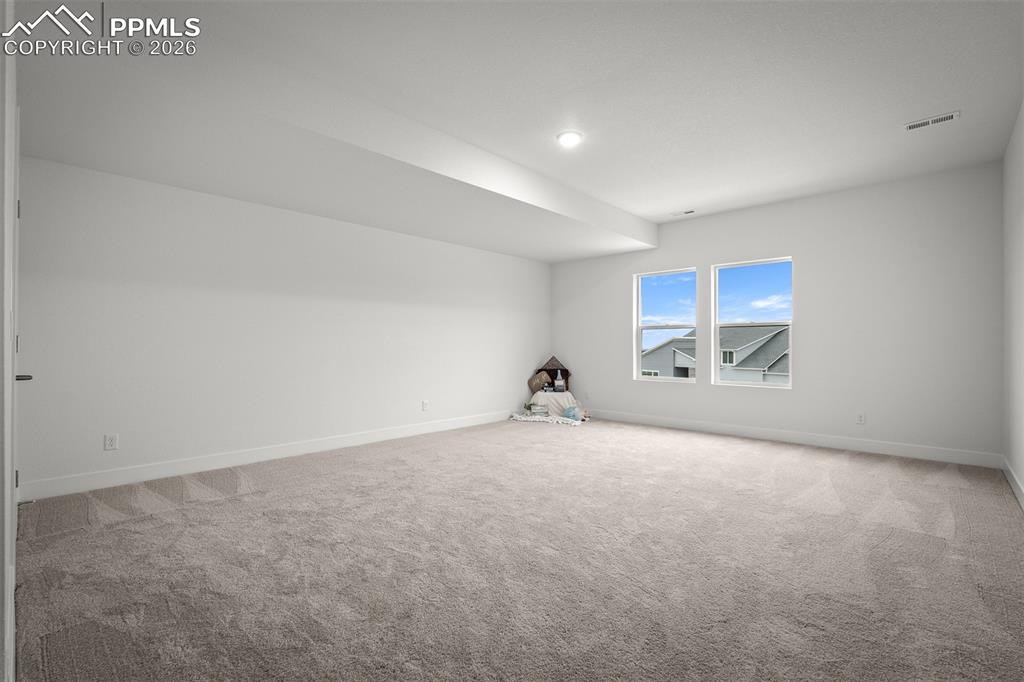 17122 Alsike Clover Court Monument CO 80132