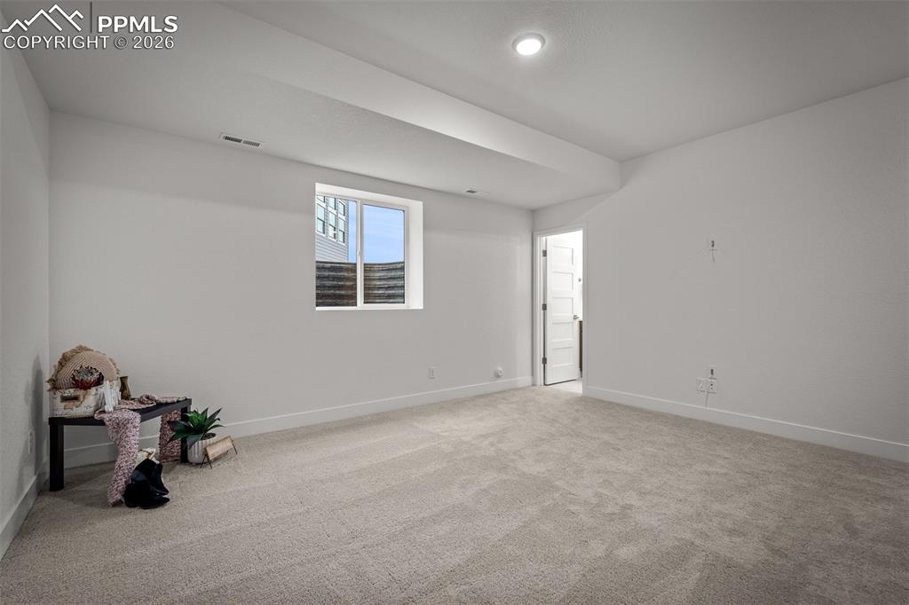 17122 Alsike Clover Court Monument CO 80132