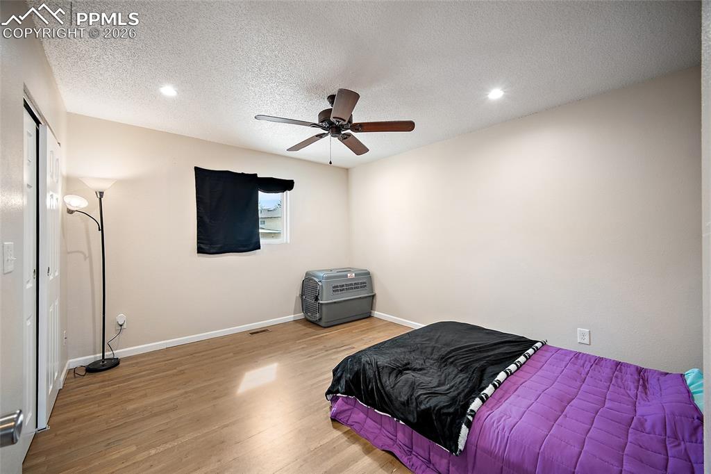 7045 Coolidge Court Colorado Springs CO 80911
