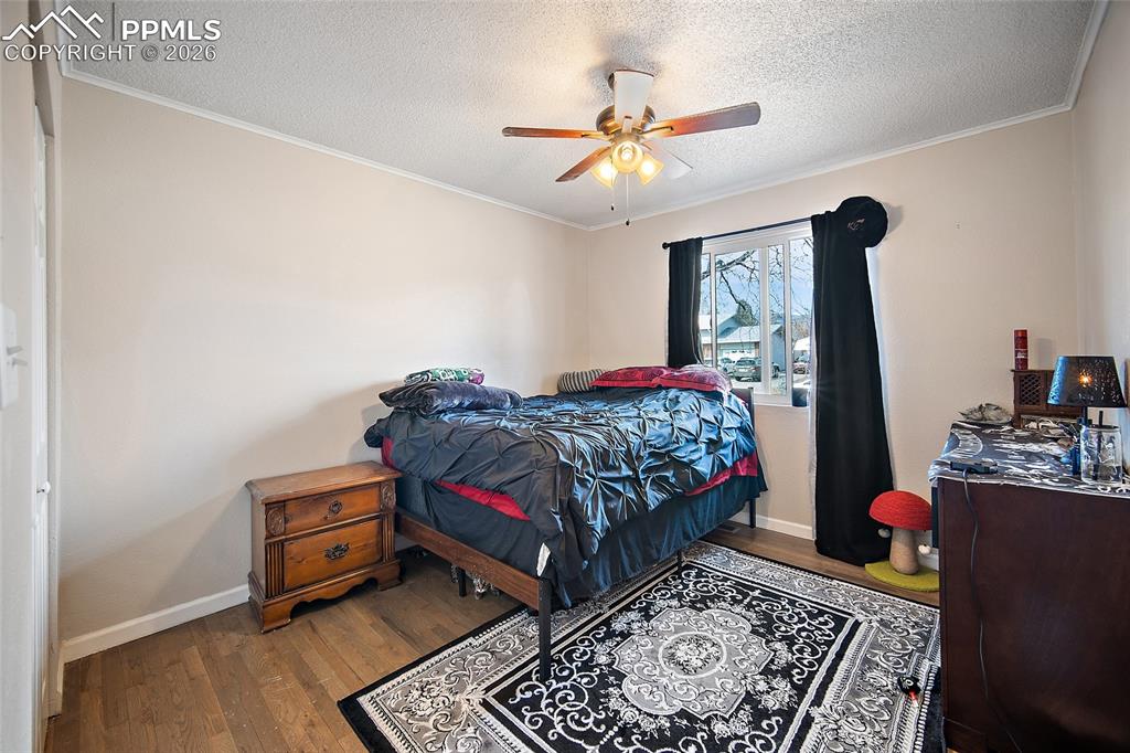 7045 Coolidge Court Colorado Springs CO 80911