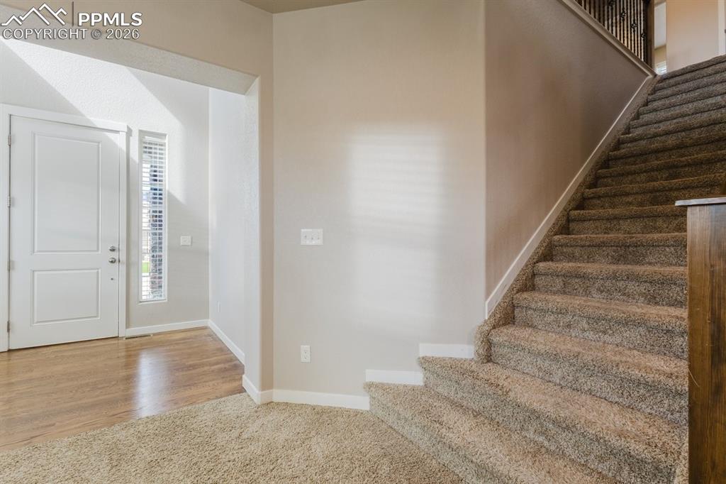 7797 Wagonwood Place Colorado Springs CO 80908