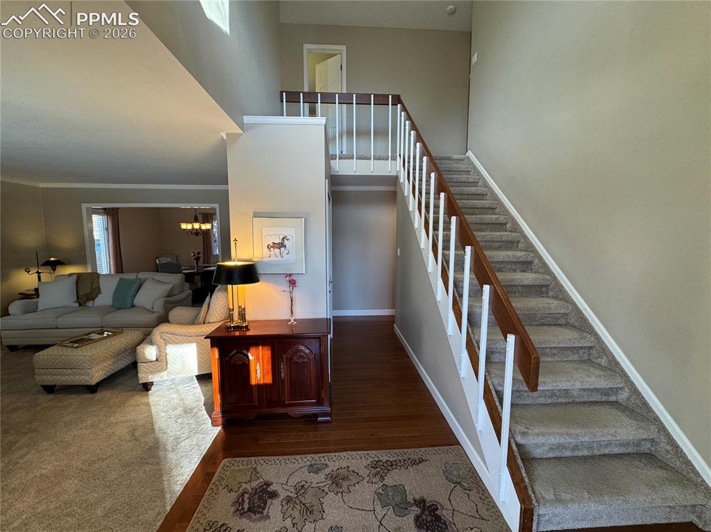 3019 Oro Blanco Drive Colorado Springs CO 80917