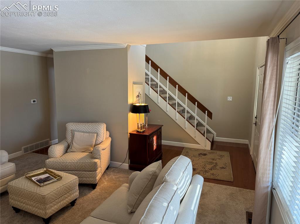 3019 Oro Blanco Drive Colorado Springs CO 80917