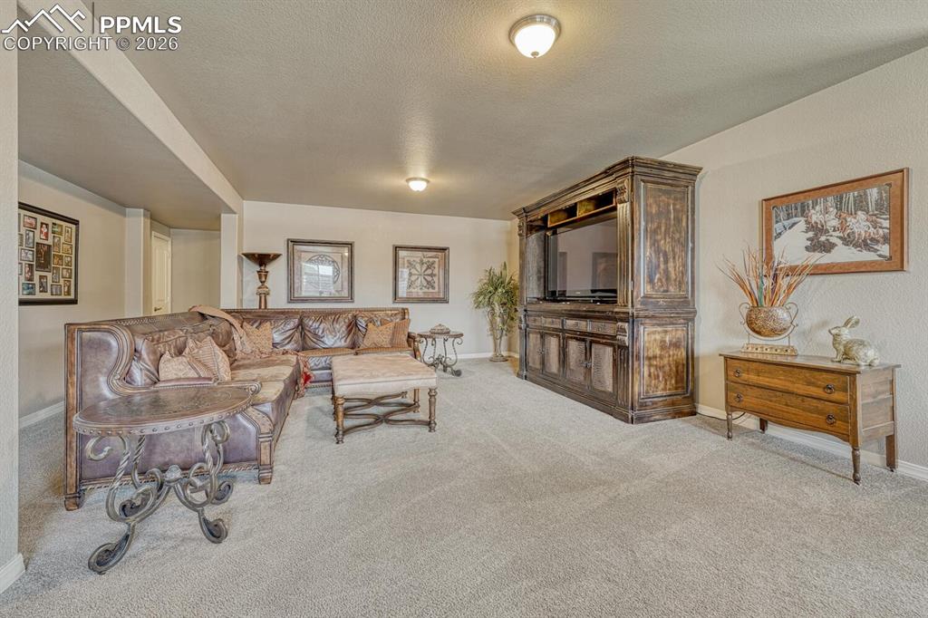 16192 St Lawrence Way Monument CO 80132