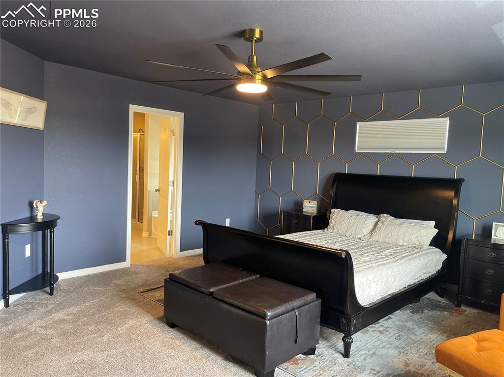8442 Noreen Falls Drive Colorado Springs CO 80924