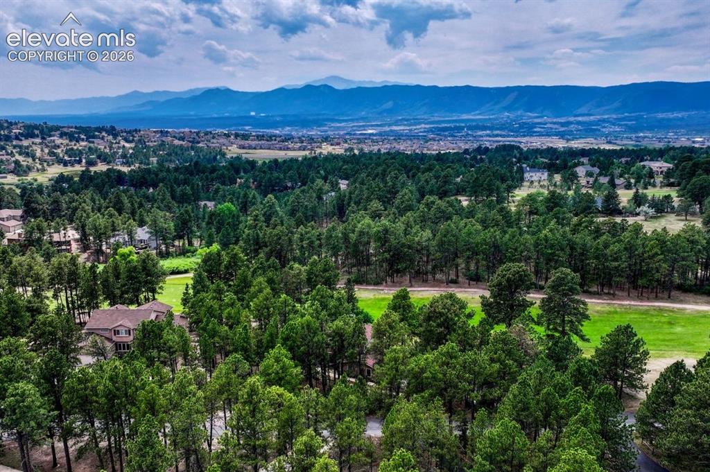 515 Congressional Drive Monument CO 80132