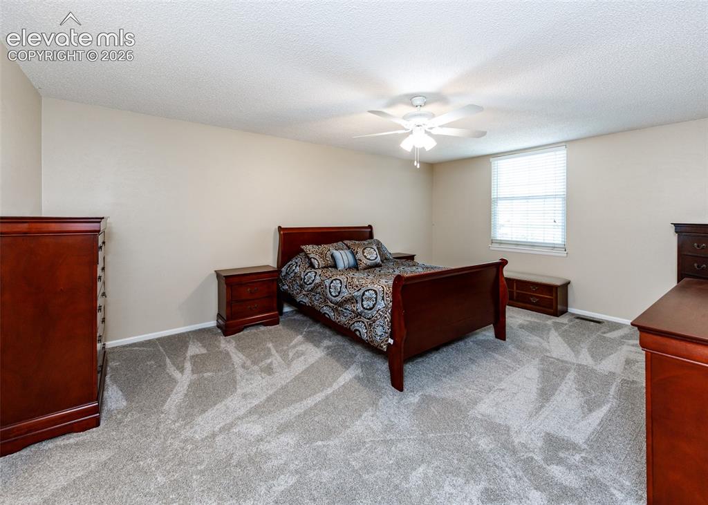 174 Tamarron Drive Colorado Springs CO 80919
