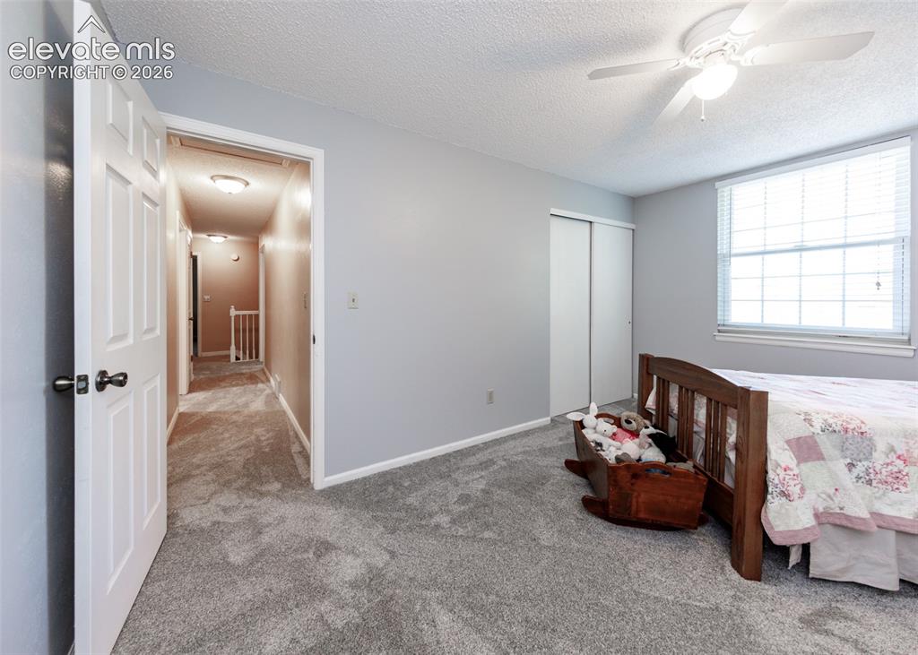 174 Tamarron Drive Colorado Springs CO 80919