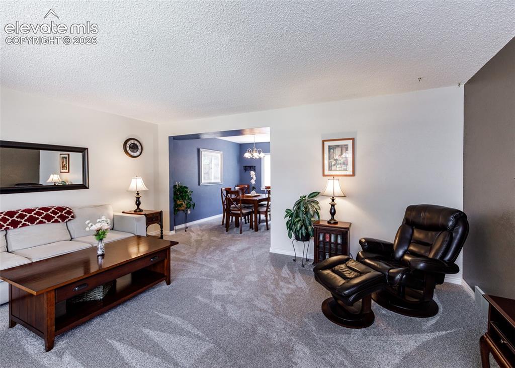 174 Tamarron Drive Colorado Springs CO 80919