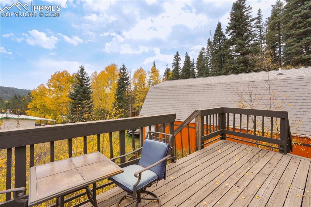 48 Angel Road Rye CO 81069