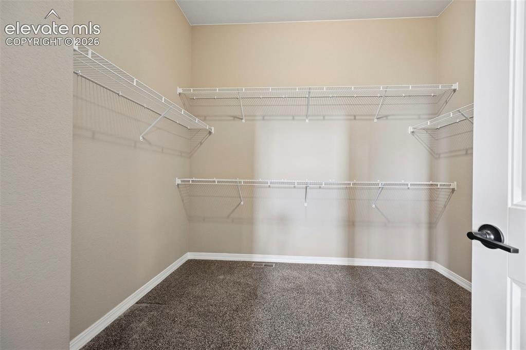 15731 Lake Mist Drive Monument CO 80132