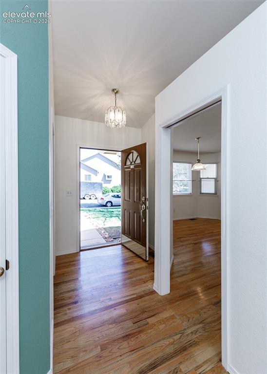 1215 Bison Ridge Drive Colorado Springs CO 80919