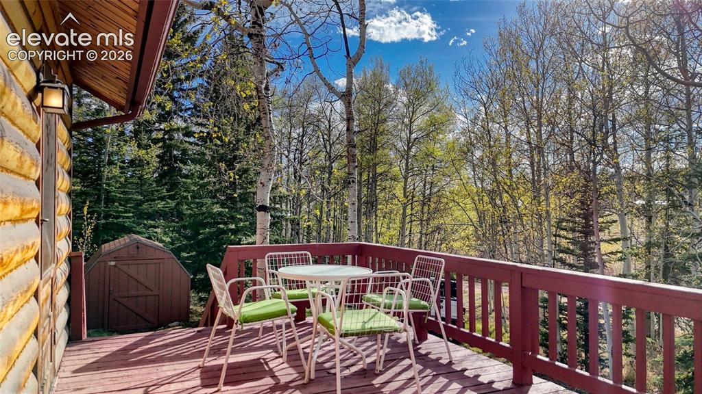 128 Brook Drive Lake George CO 80827