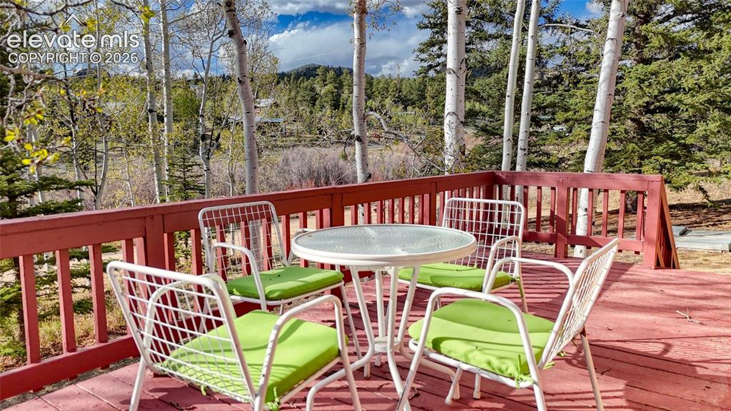 128 Brook Drive Lake George CO 80827