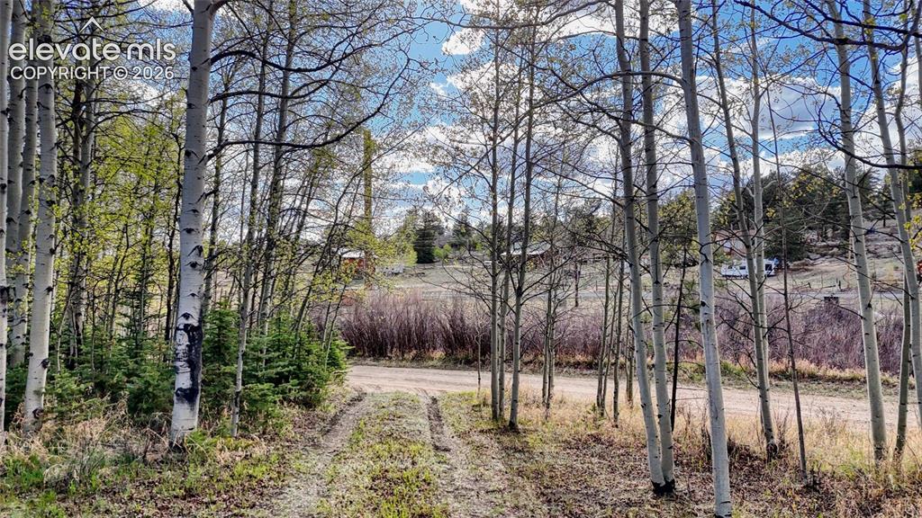 128 Brook Drive Lake George CO 80827