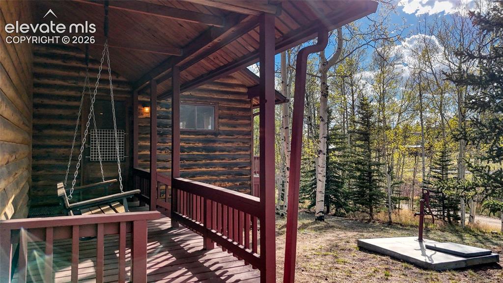 128 Brook Drive Lake George CO 80827