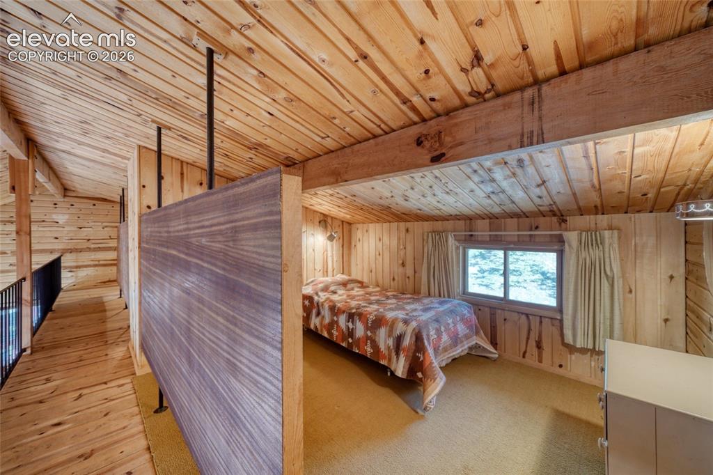 128 Brook Drive Lake George CO 80827
