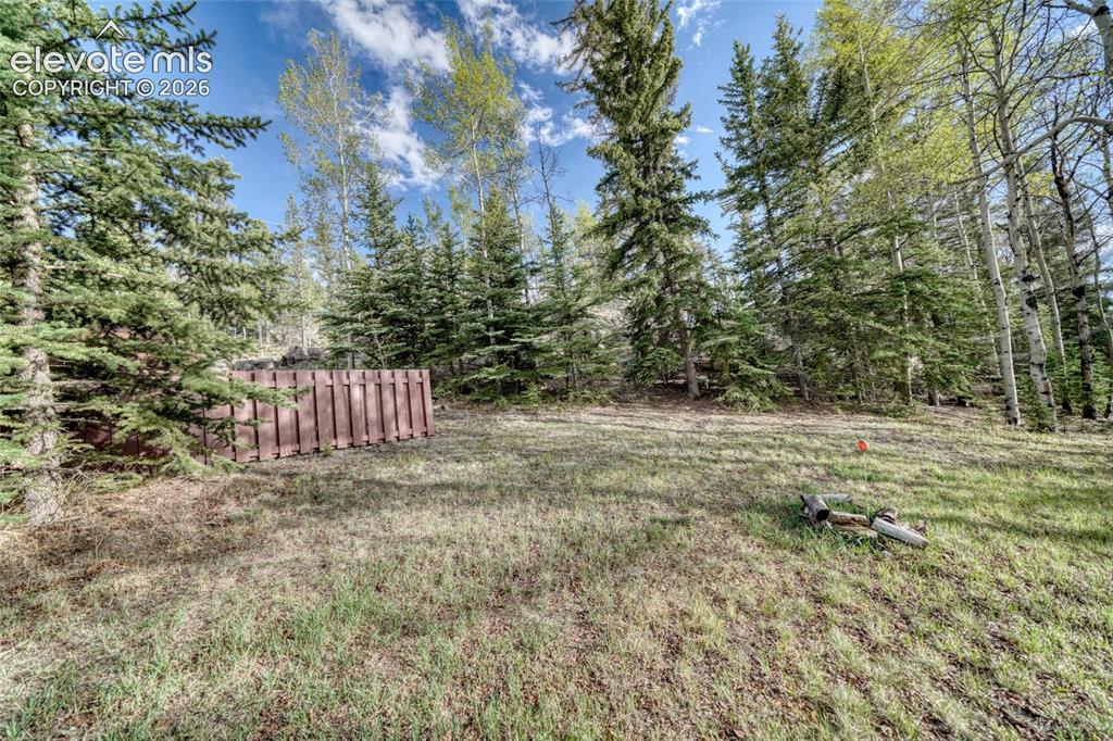128 Brook Drive Lake George CO 80827
