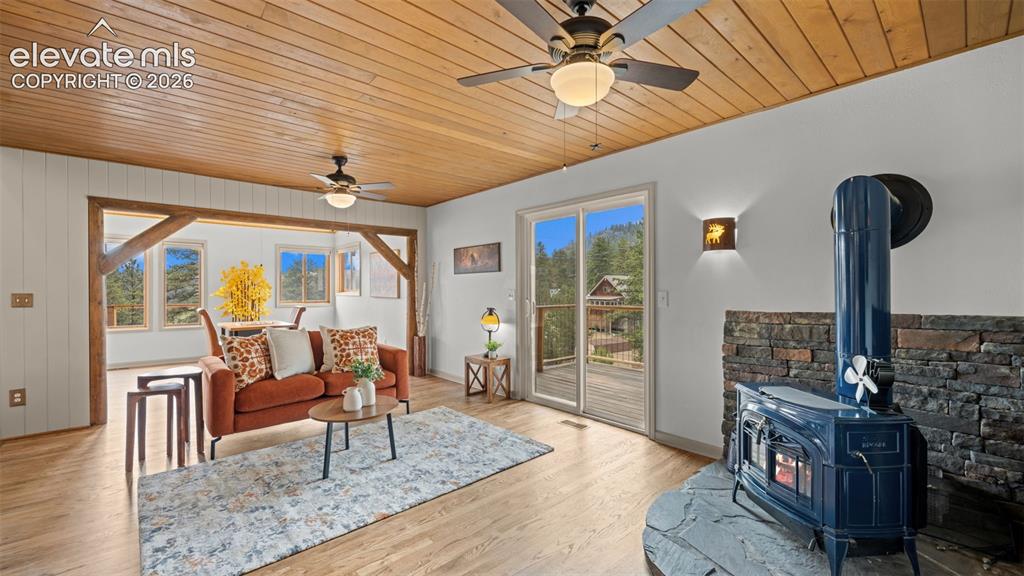 925 Midland Court Lake George CO 80827