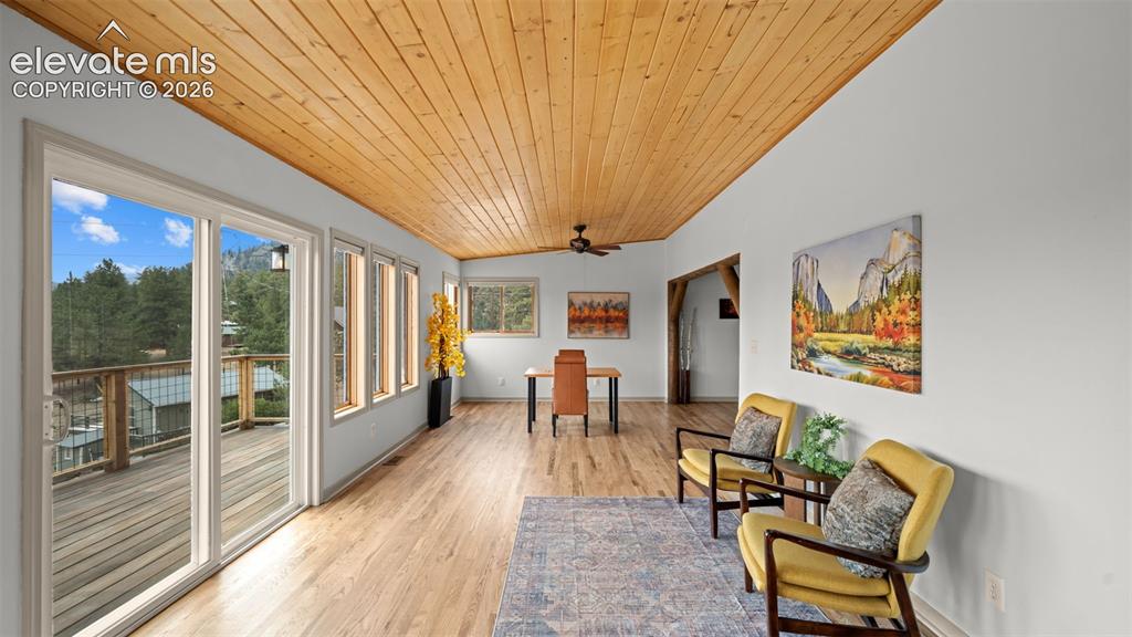 925 Midland Court Lake George CO 80827
