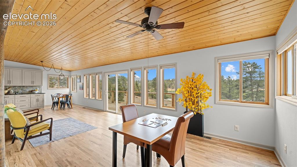 925 Midland Court Lake George CO 80827