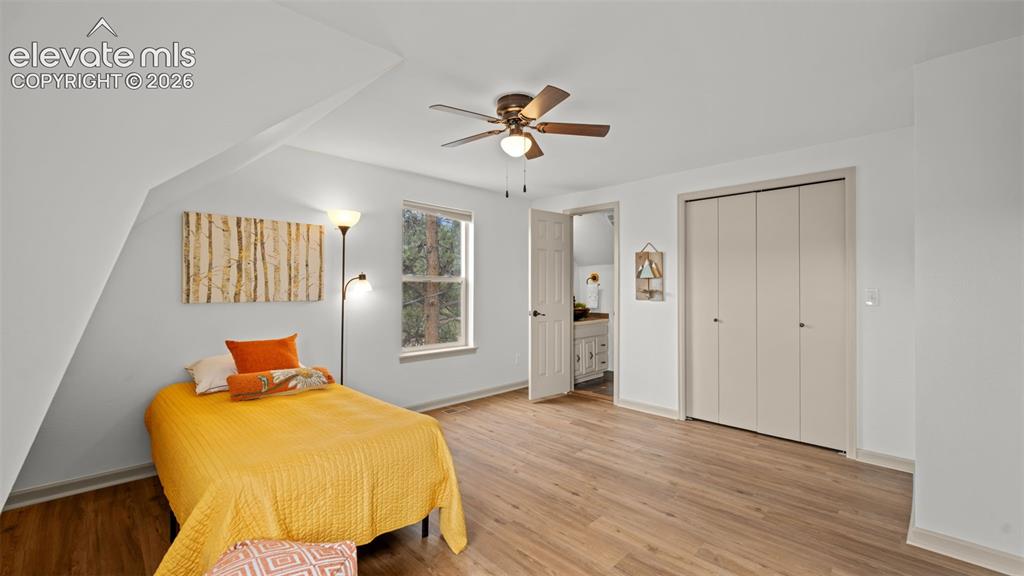 925 Midland Court Lake George CO 80827