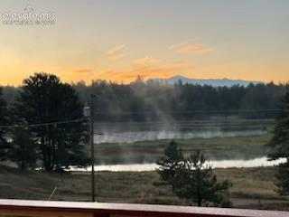 925 Midland Court Lake George CO 80827