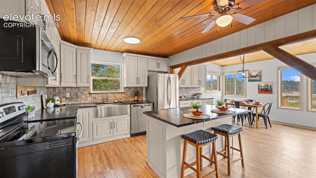 925 Midland Court Lake George CO 80827
