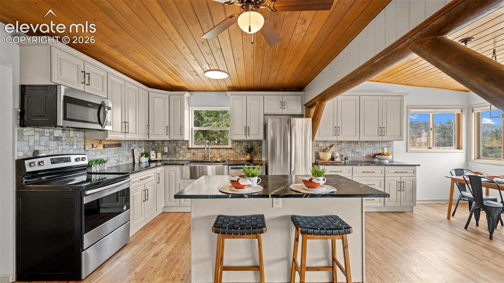 925 Midland Court Lake George CO 80827