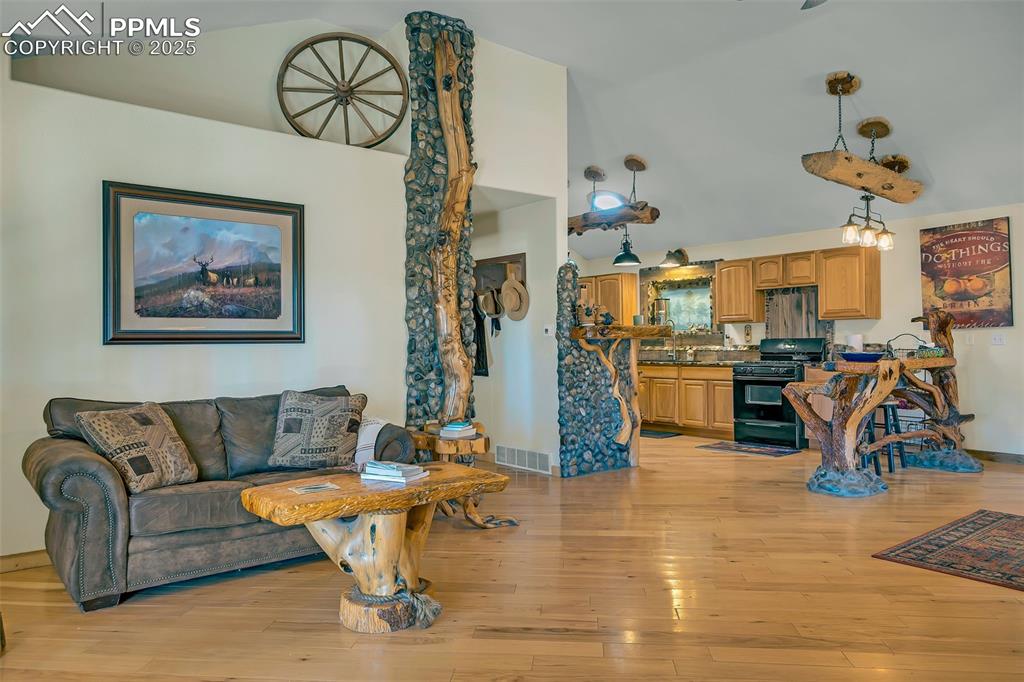 38 Mac Donnell Drive Cotopaxi CO 81223