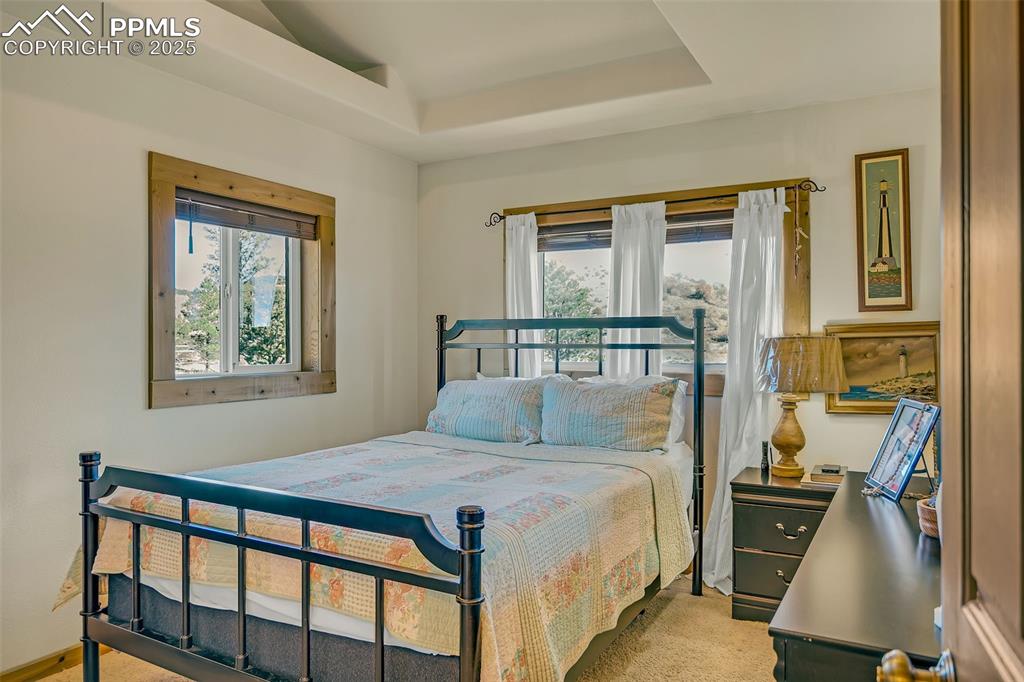 38 Mac Donnell Drive Cotopaxi CO 81223