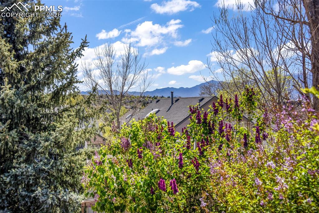 3545 Sedgewood Way Colorado Springs CO 80918