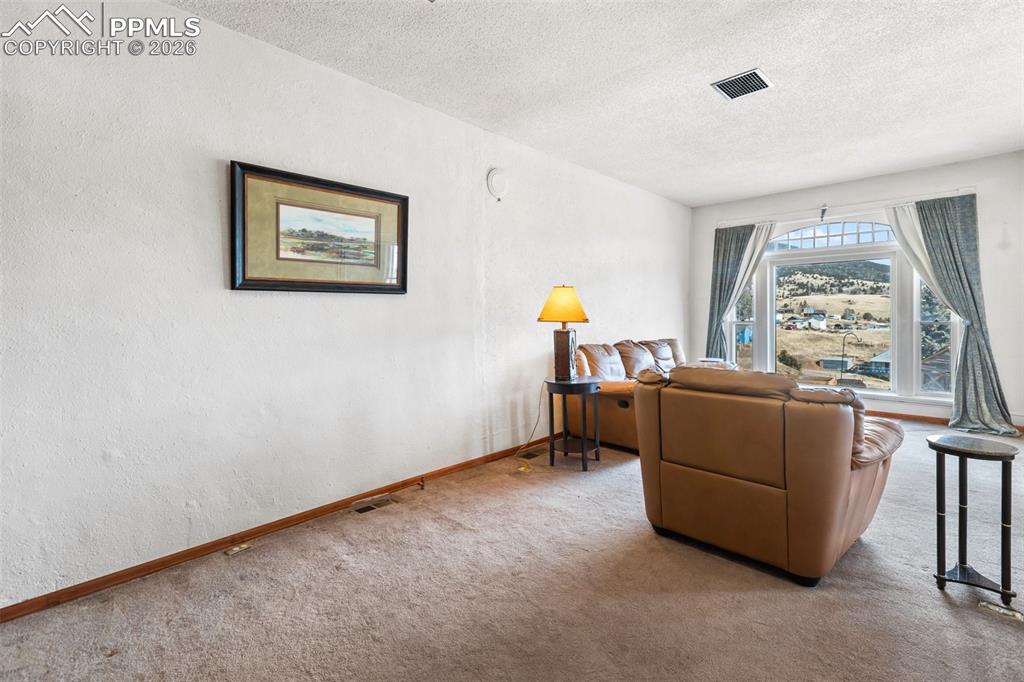 325 S Fourth Street Victor CO 80860