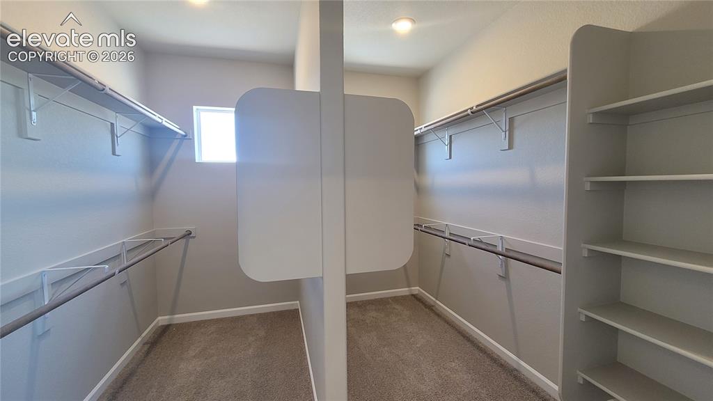 10651 Wolf Lake Drive Colorado Springs CO 80924
