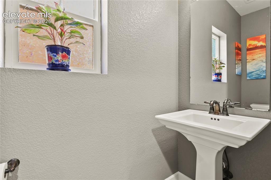 8276 Cypress Wood Drive Colorado Springs CO 80927