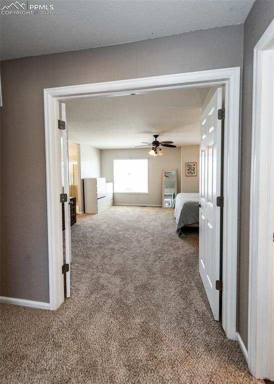 4818 Turning Leaf Way Colorado Springs CO 80922