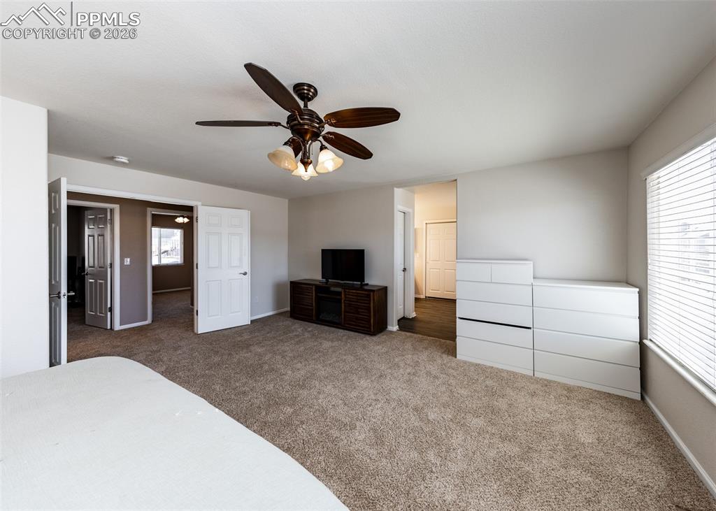 4818 Turning Leaf Way Colorado Springs CO 80922