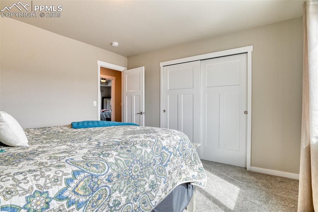 4968 Wolf Moon Drive Colorado Springs CO 80911