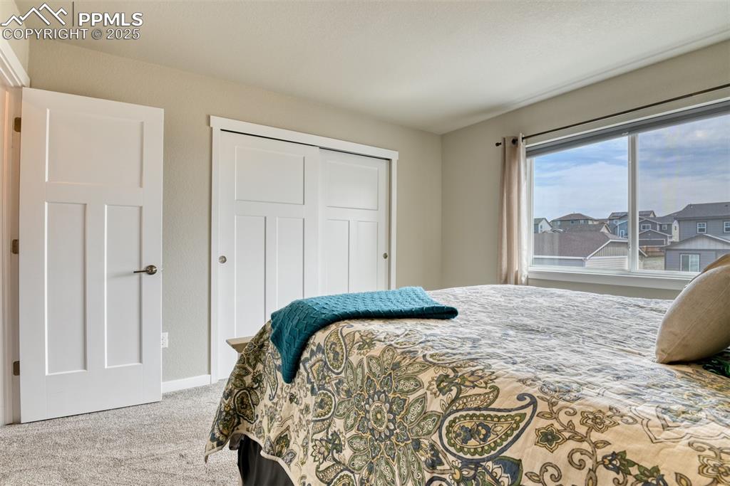 4968 Wolf Moon Drive Colorado Springs CO 80911