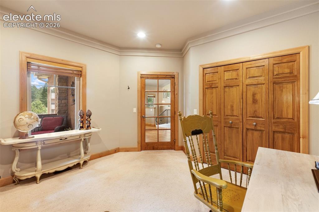 1121 W Bowman Avenue Woodland Park CO 80863