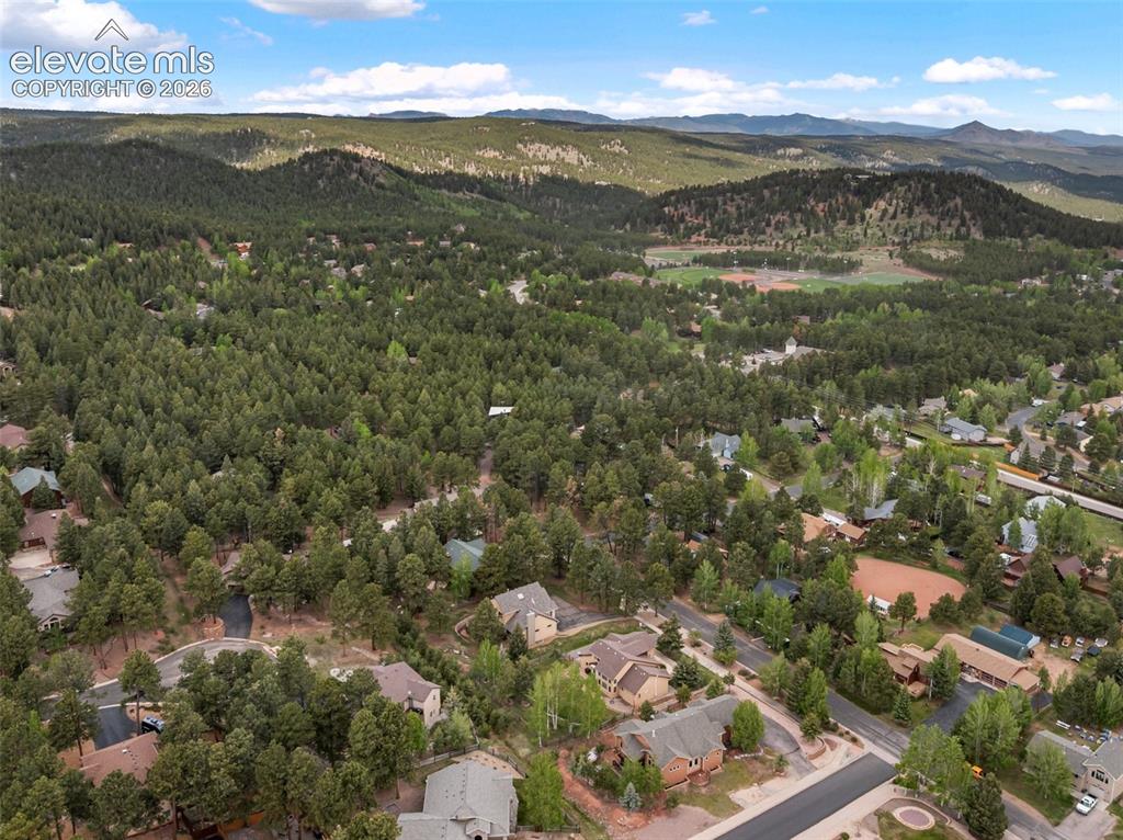 1121 W Bowman Avenue Woodland Park CO 80863