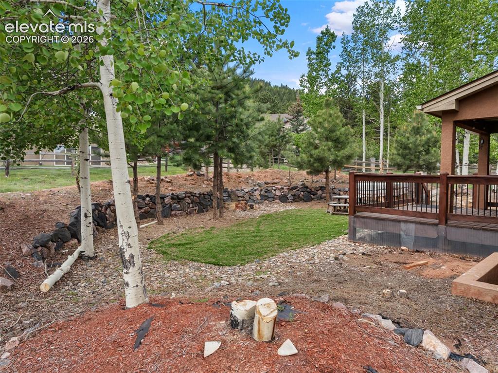 1121 W Bowman Avenue Woodland Park CO 80863