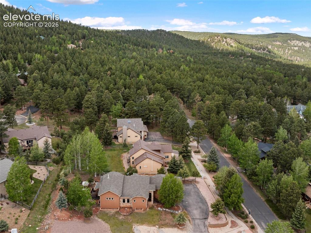 1121 W Bowman Avenue Woodland Park CO 80863