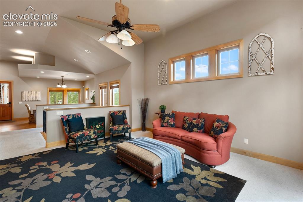 1121 W Bowman Avenue Woodland Park CO 80863