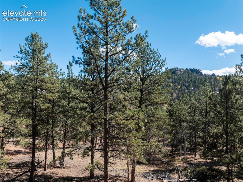 457 Stonehenge Drive Florissant CO 80816