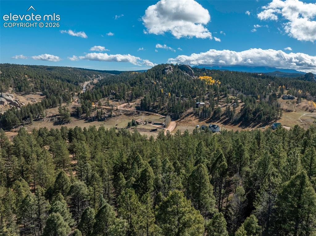 457 Stonehenge Drive Florissant CO 80816